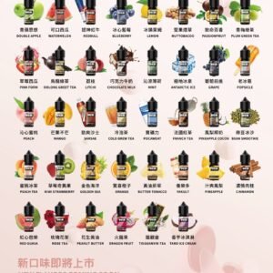 DER 小油 DER油品 GS ILIA 電子煙 主機