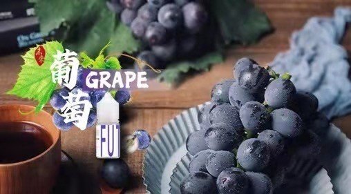 LEON 小菸油 加熱 主機 油品 小油 拋棄式