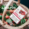 lana彈 月客 sp2 注油 小油 油品 加熱煙 一次性 拋棄式