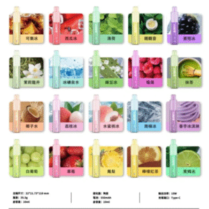 外星人一次性 外星人一次性主機 電子菸 電子煙 T1 OBI ILIA RELX SP2